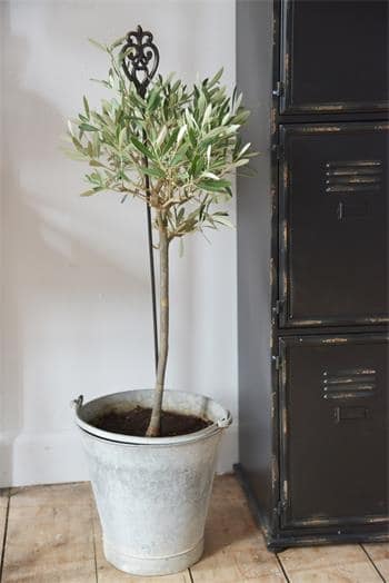 Plantespyd med Monogram - 35 cm. - Billede 5