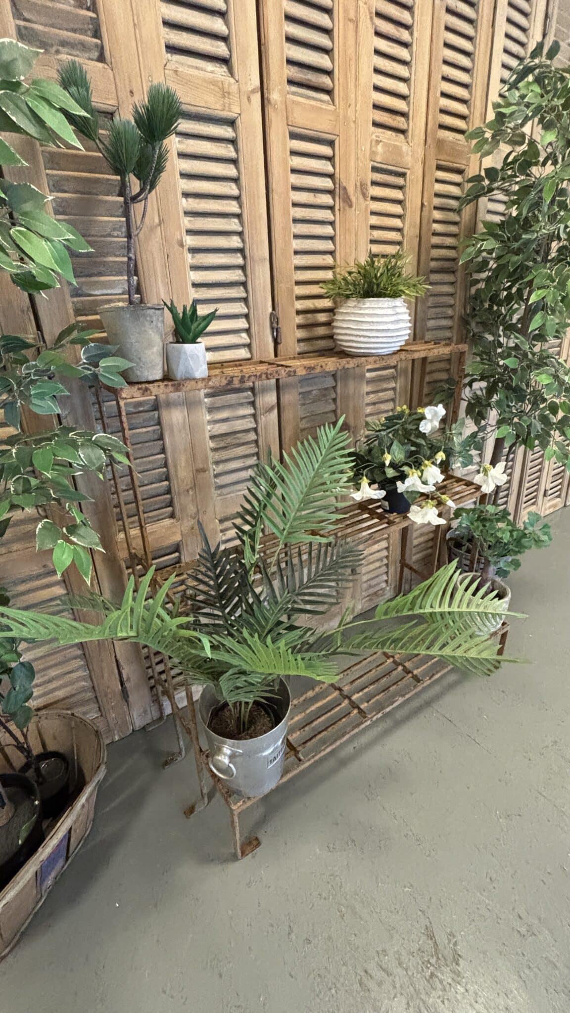 Støbejerns Plantereol fra Frankrig - Billede 3