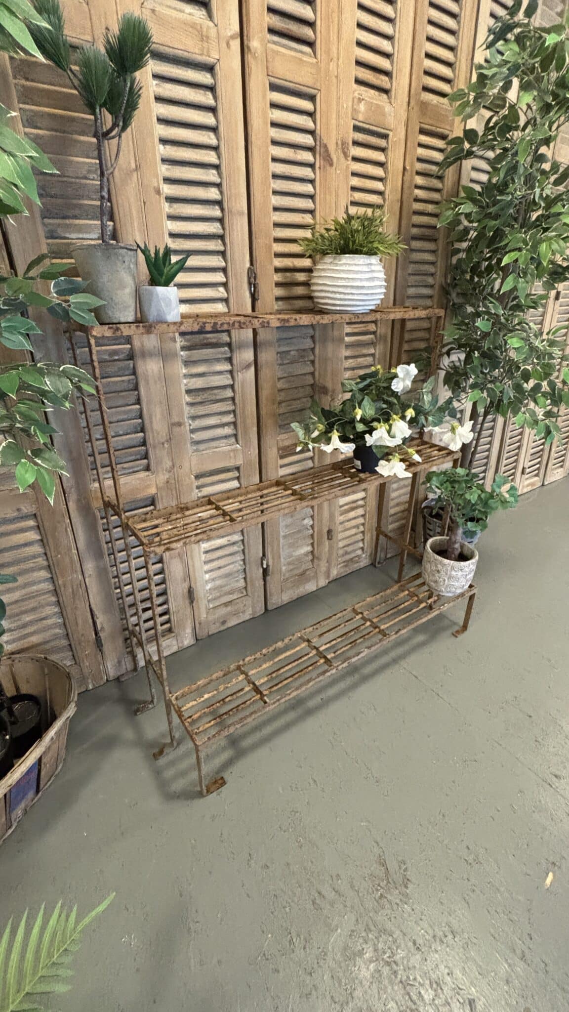 Støbejerns Plantereol fra Frankrig - Billede 2