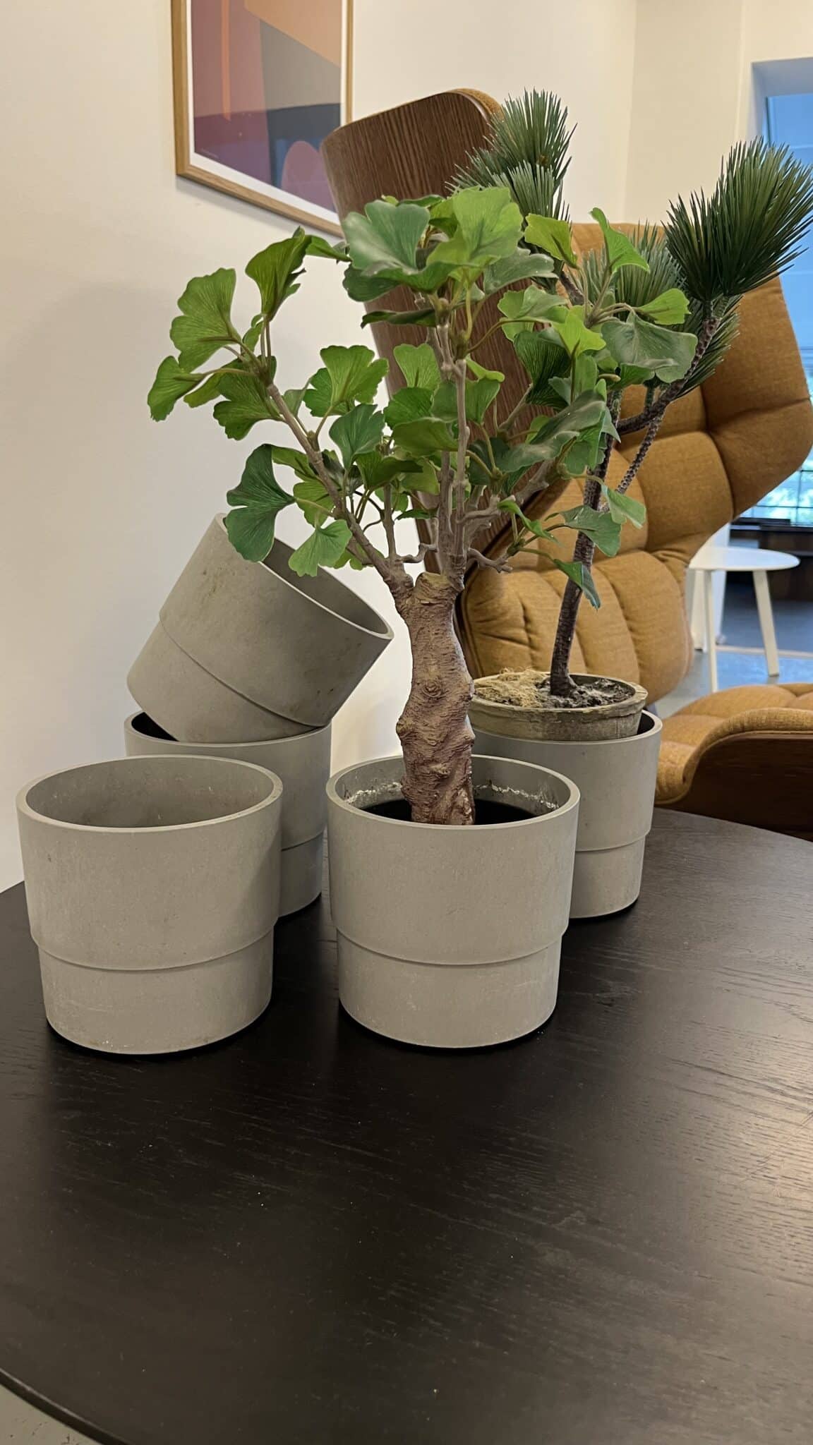 Blomsterskjuler Grå Plast - Billede 3